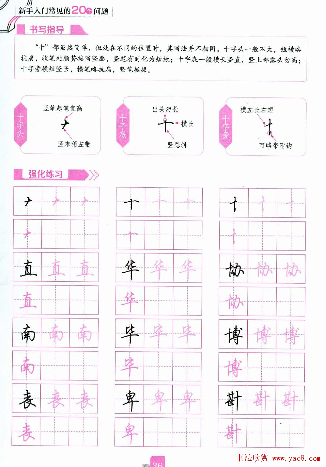 荆霄鹏硬笔行楷字帖《新手入门常见的20个问题》
