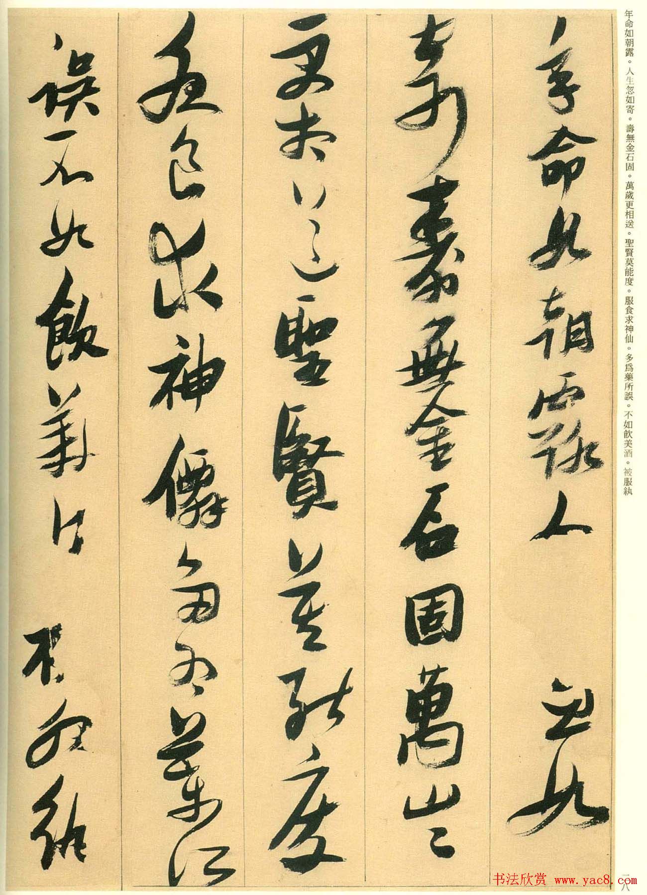 张瑞图行草书法欣赏古诗十九首