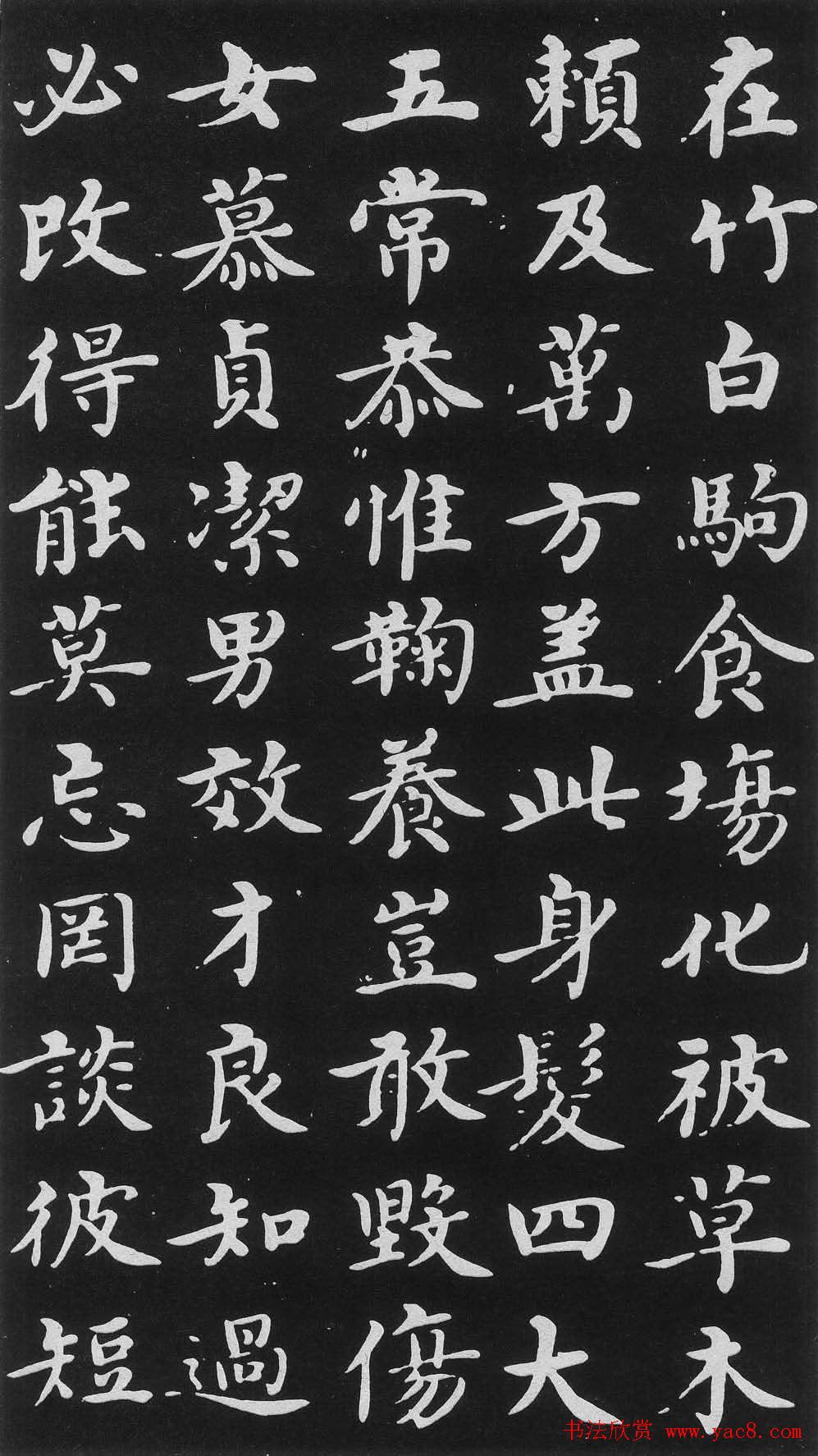 明代沈度楷书书法欣赏《千字文》