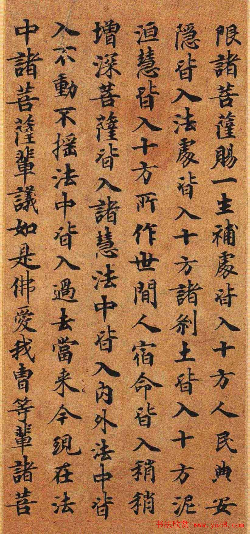 灵山寺藏唐人楷书写兜沙经