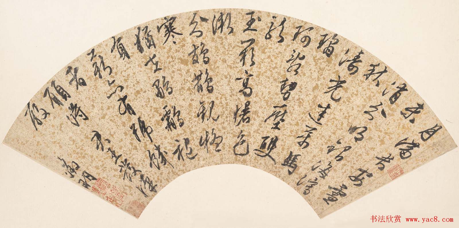 诗书画全才文徵明扇面书法作品专辑