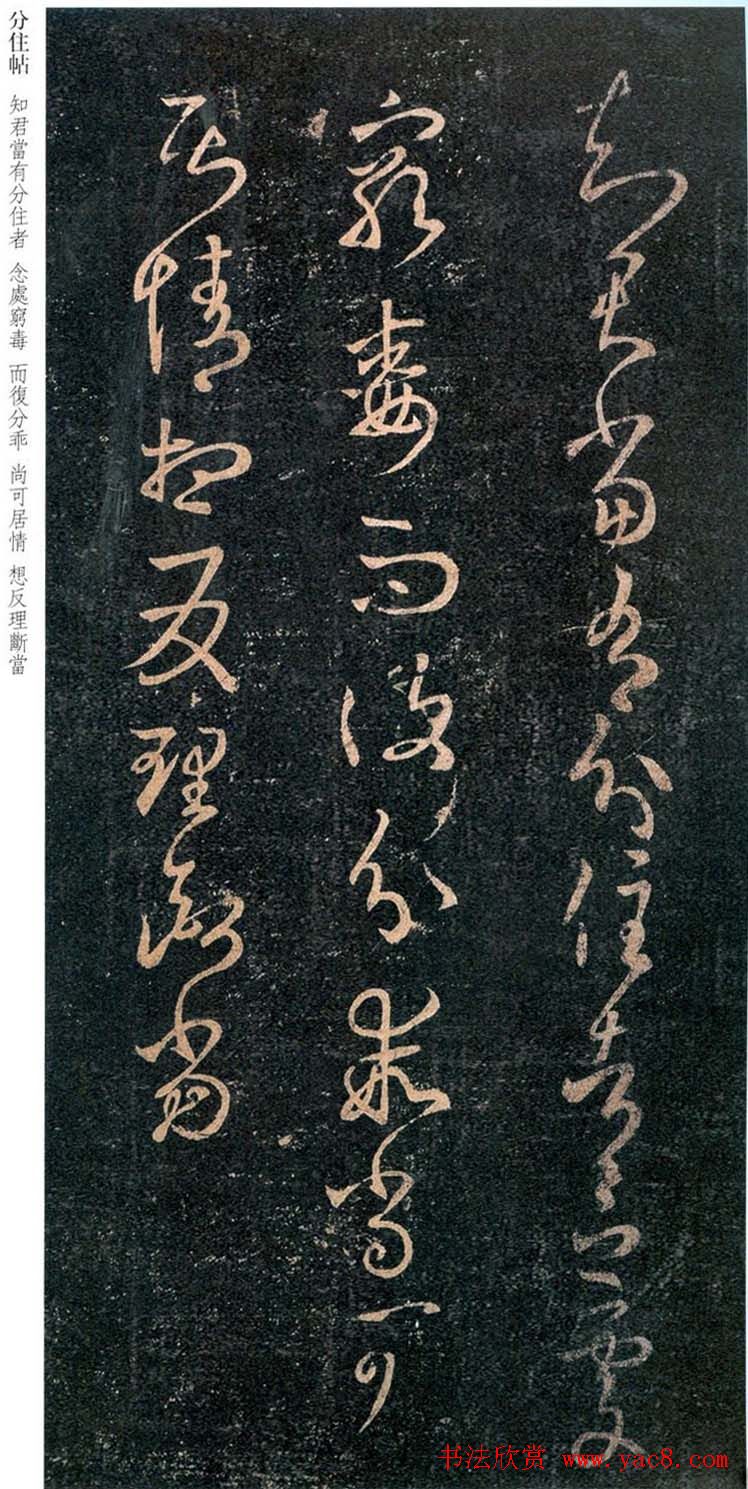 王羲之草书欣赏《知君帖》三种