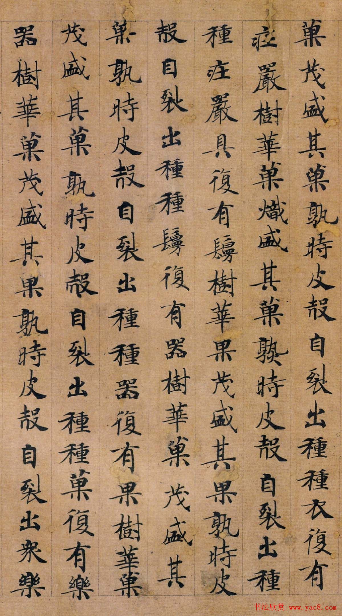 唐代钟绍京楷书墨迹《转轮圣王经》