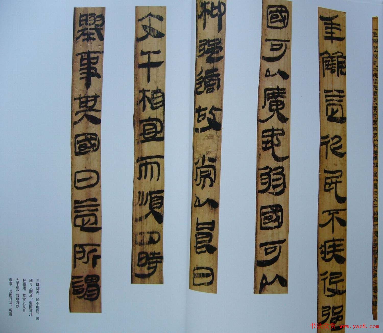 汉代书法竹简欣赏《虎溪山前汉简》