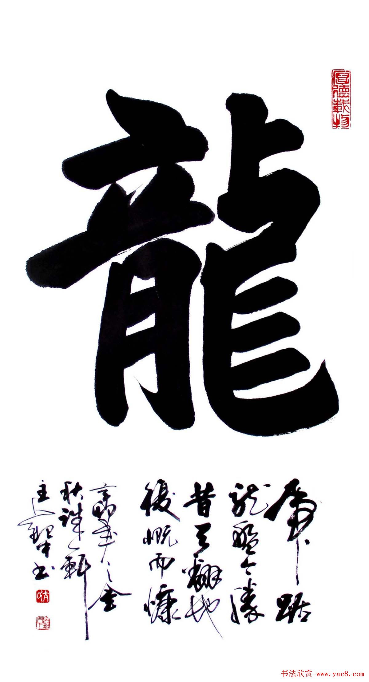 亢银中榜书作品欣赏《百龙集》