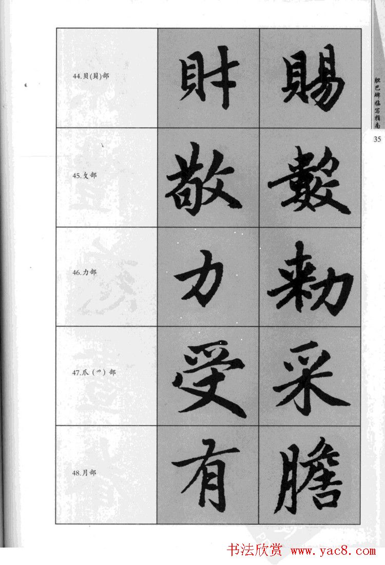 赵孟頫胆巴碑临写指南行楷字帖