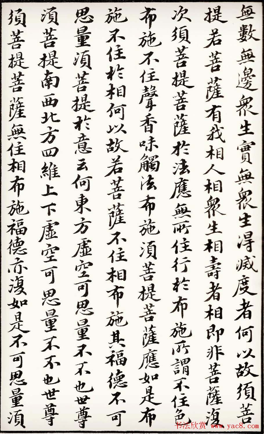 苏轼行楷书法欣赏《金刚经》全本