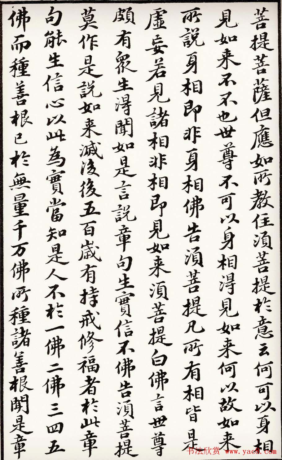 苏轼行楷书法欣赏《金刚经》全本