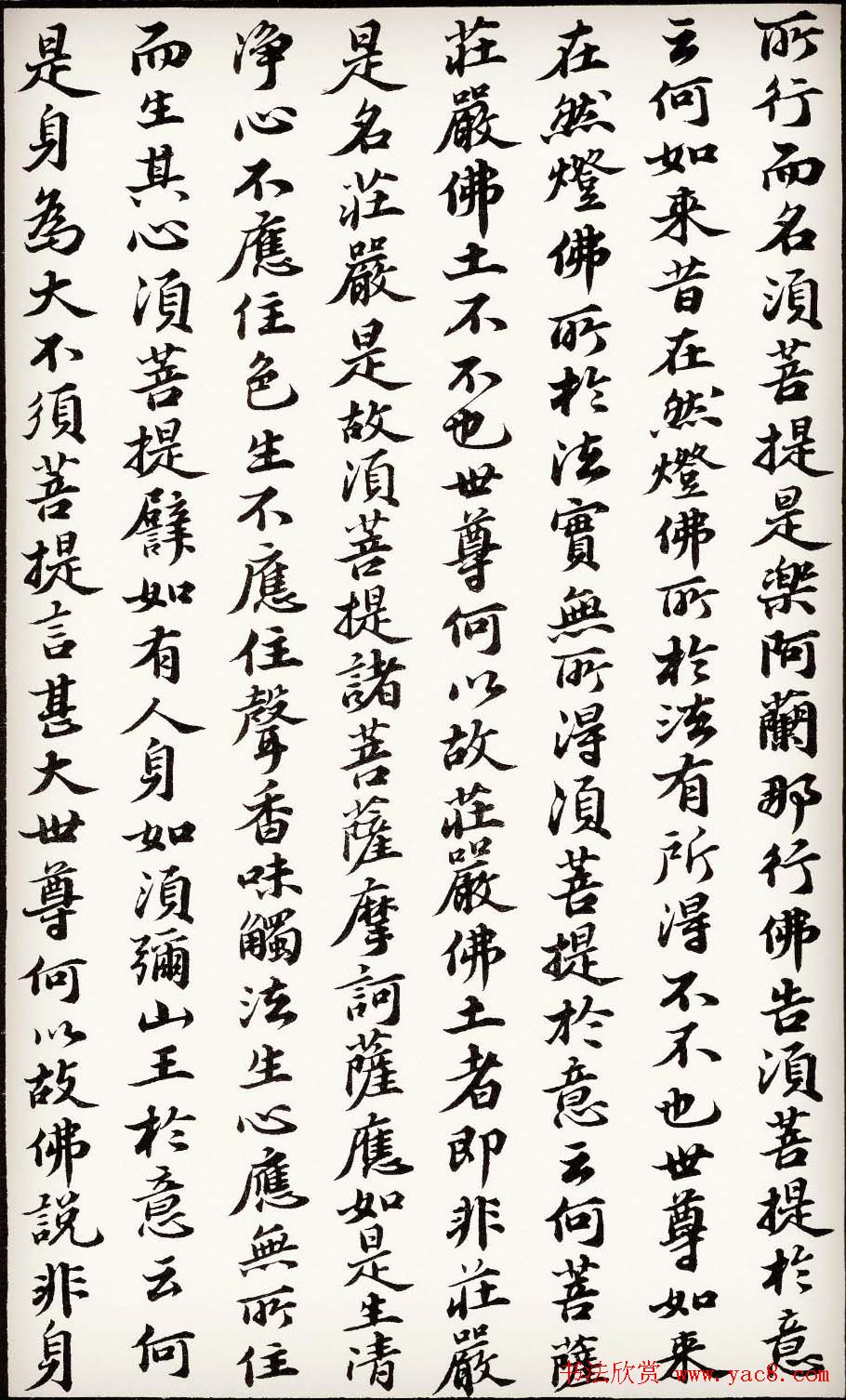 苏轼行楷书法欣赏《金刚经》全本