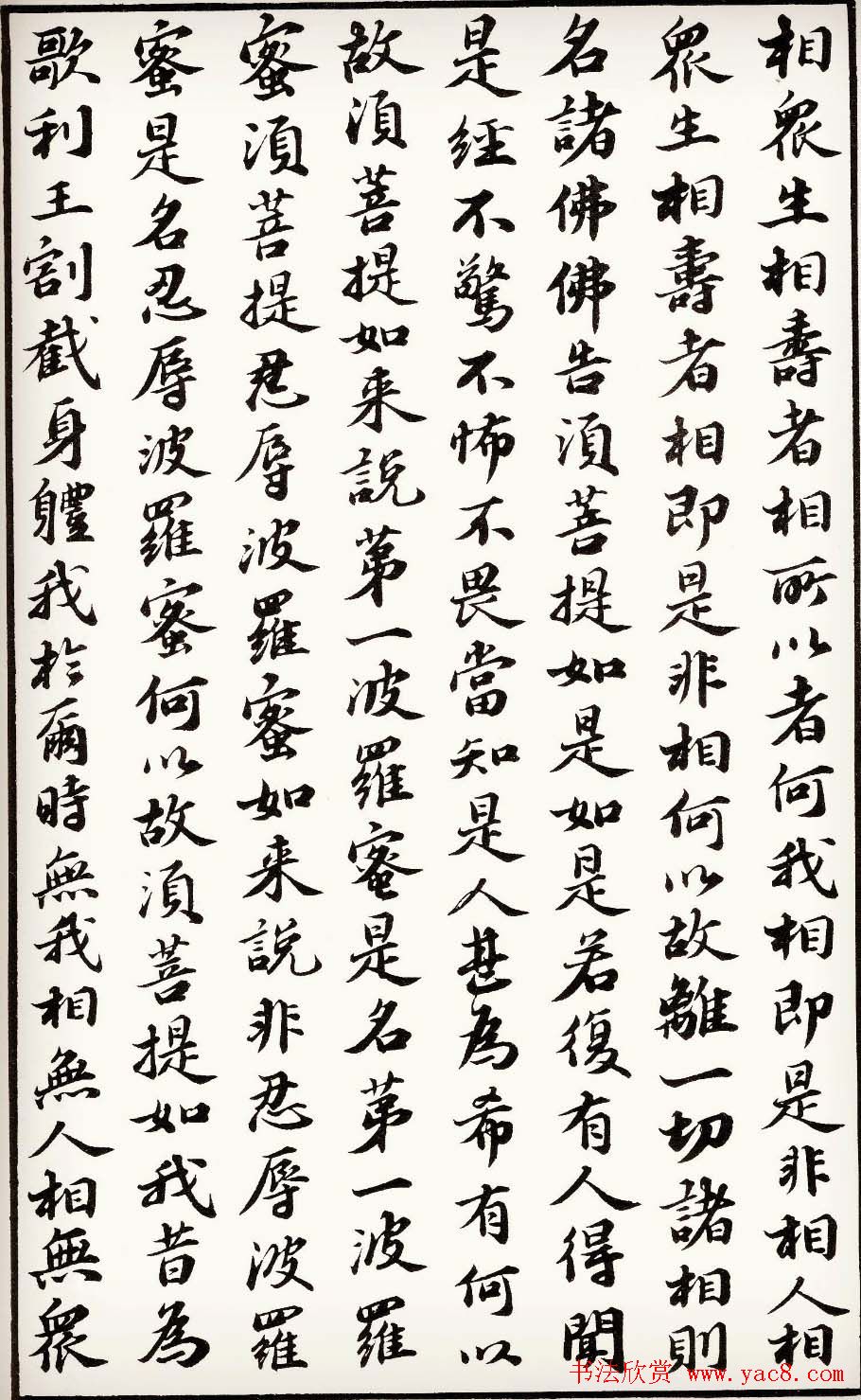 苏轼行楷书法欣赏《金刚经》全本