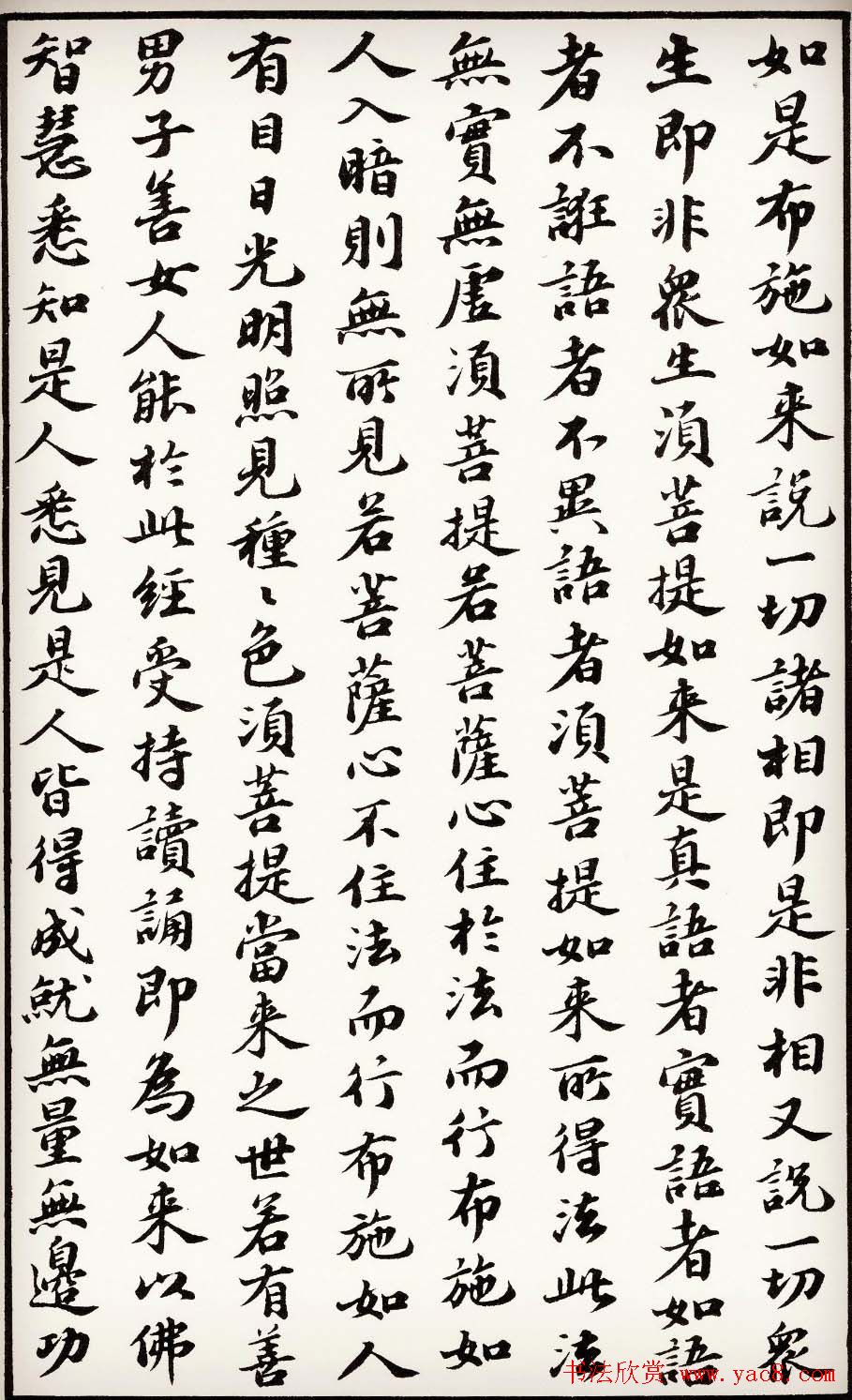 苏轼行楷书法欣赏《金刚经》全本