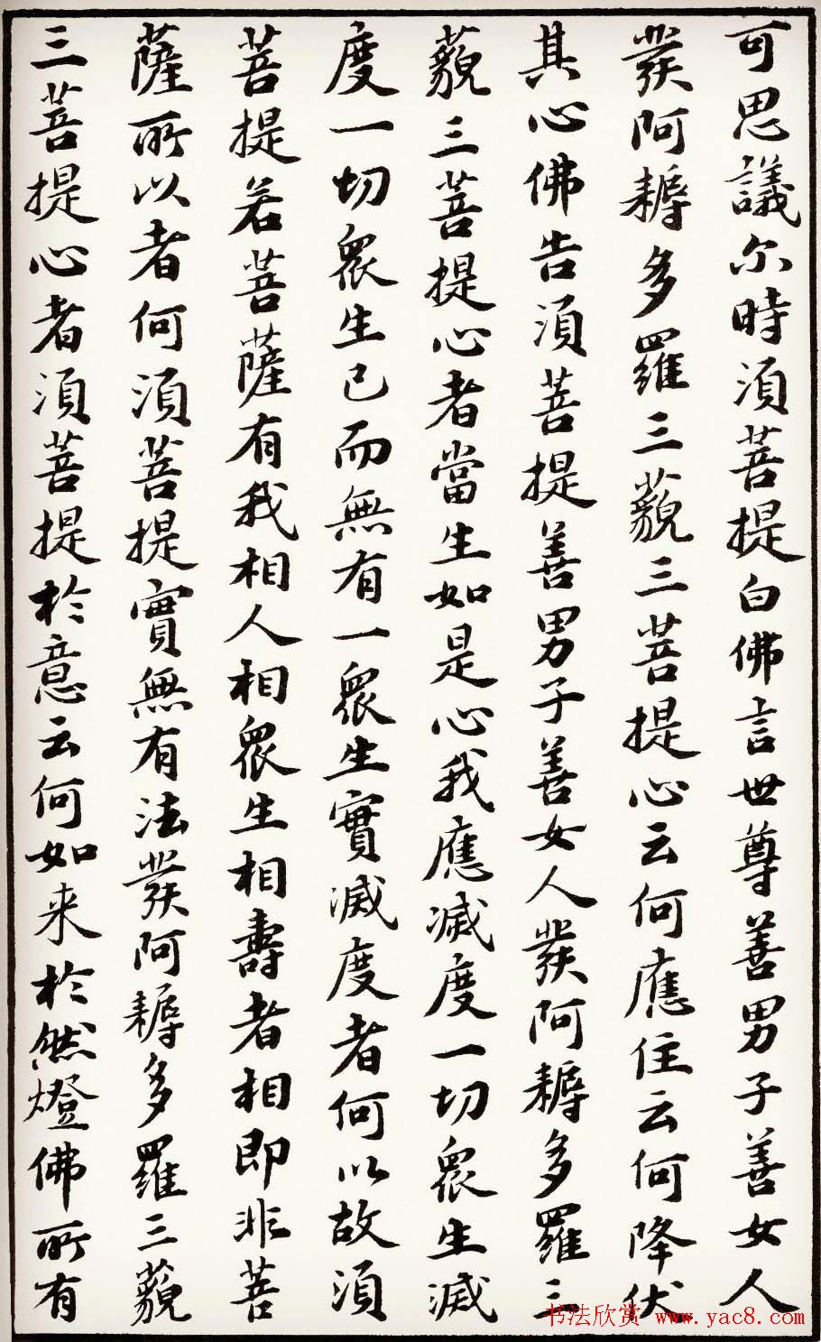 苏轼行楷书法欣赏《金刚经》全本