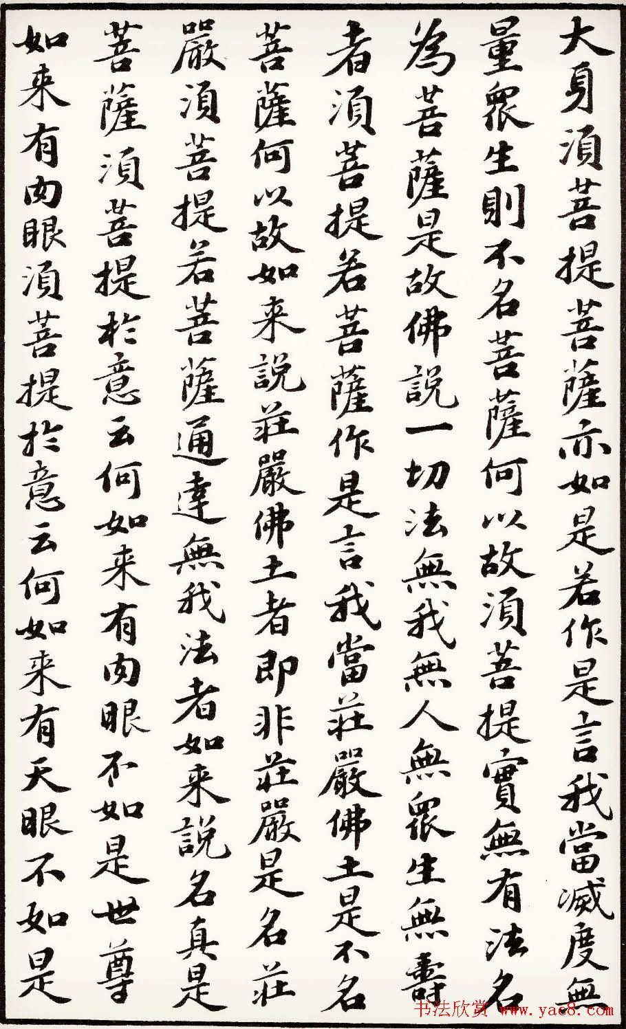 苏轼行楷书法欣赏《金刚经》全本