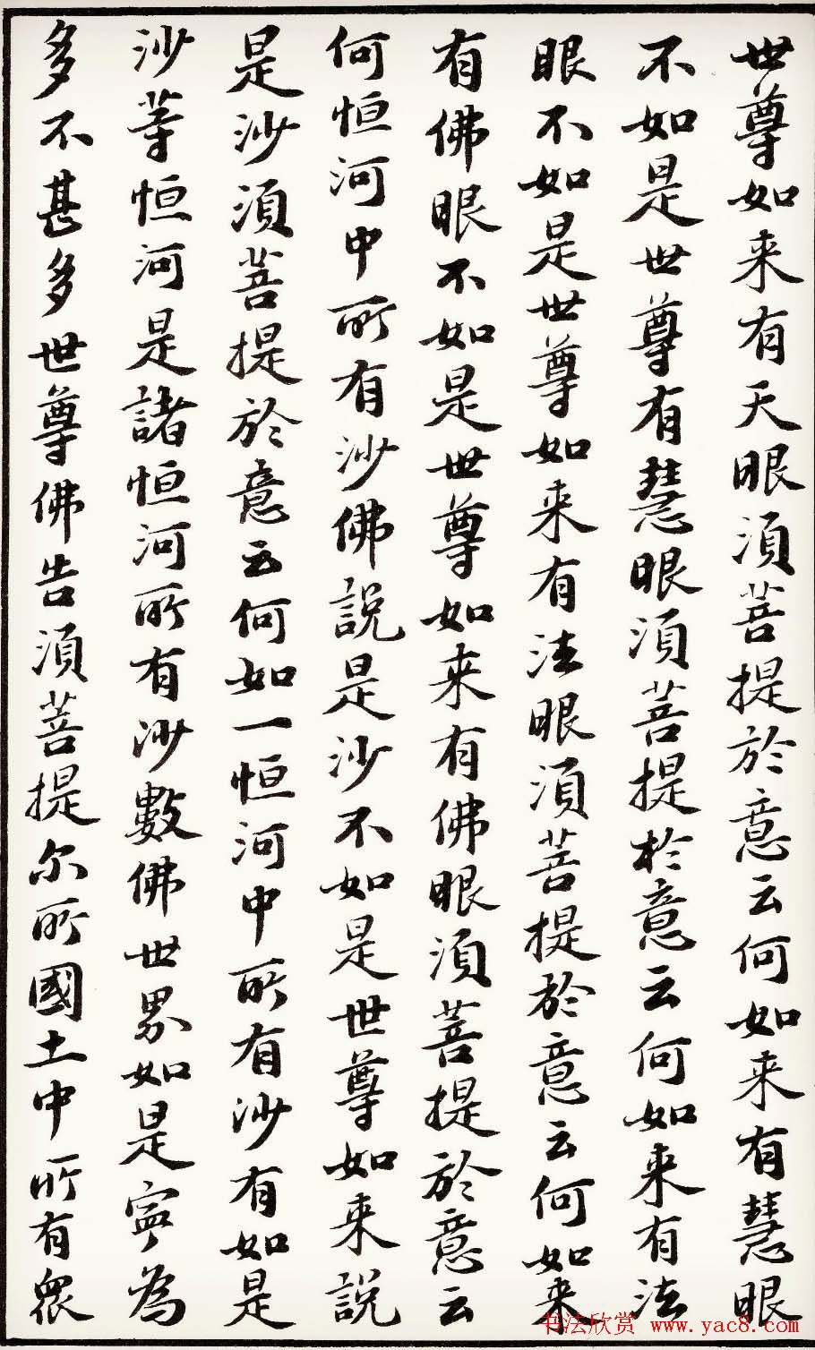 苏轼行楷书法欣赏《金刚经》全本