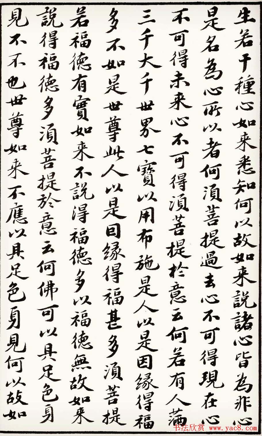 苏轼行楷书法欣赏《金刚经》全本