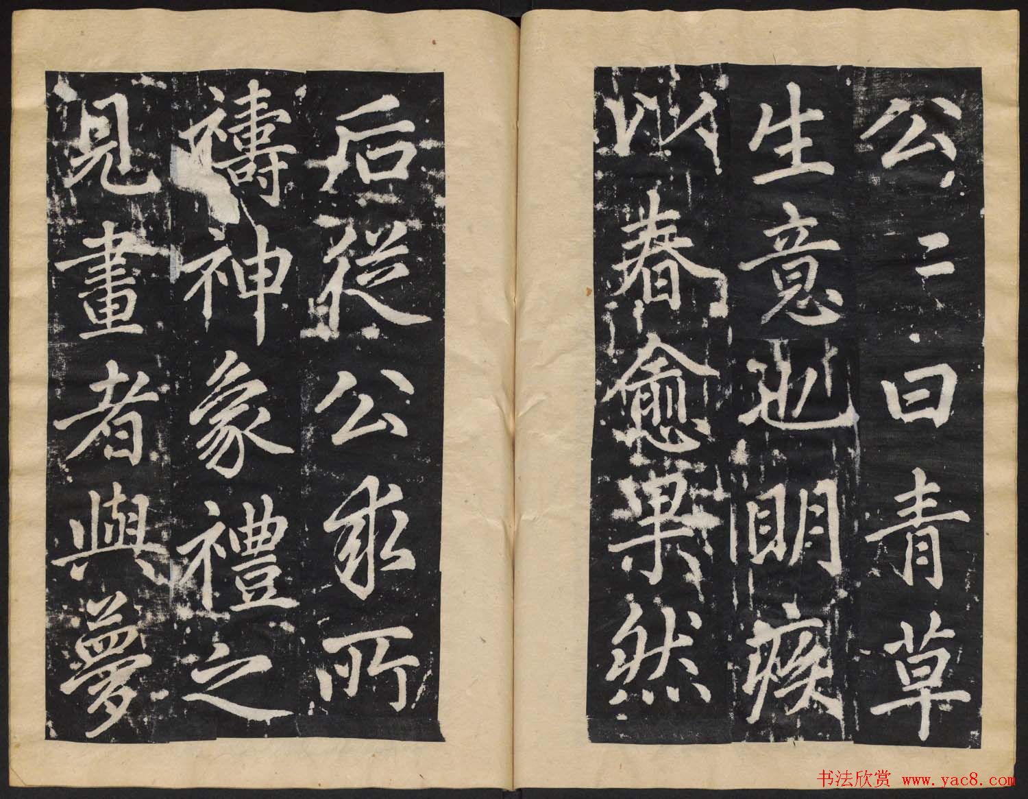 赵孟頫行楷书法欣赏《张留孙墓碑》