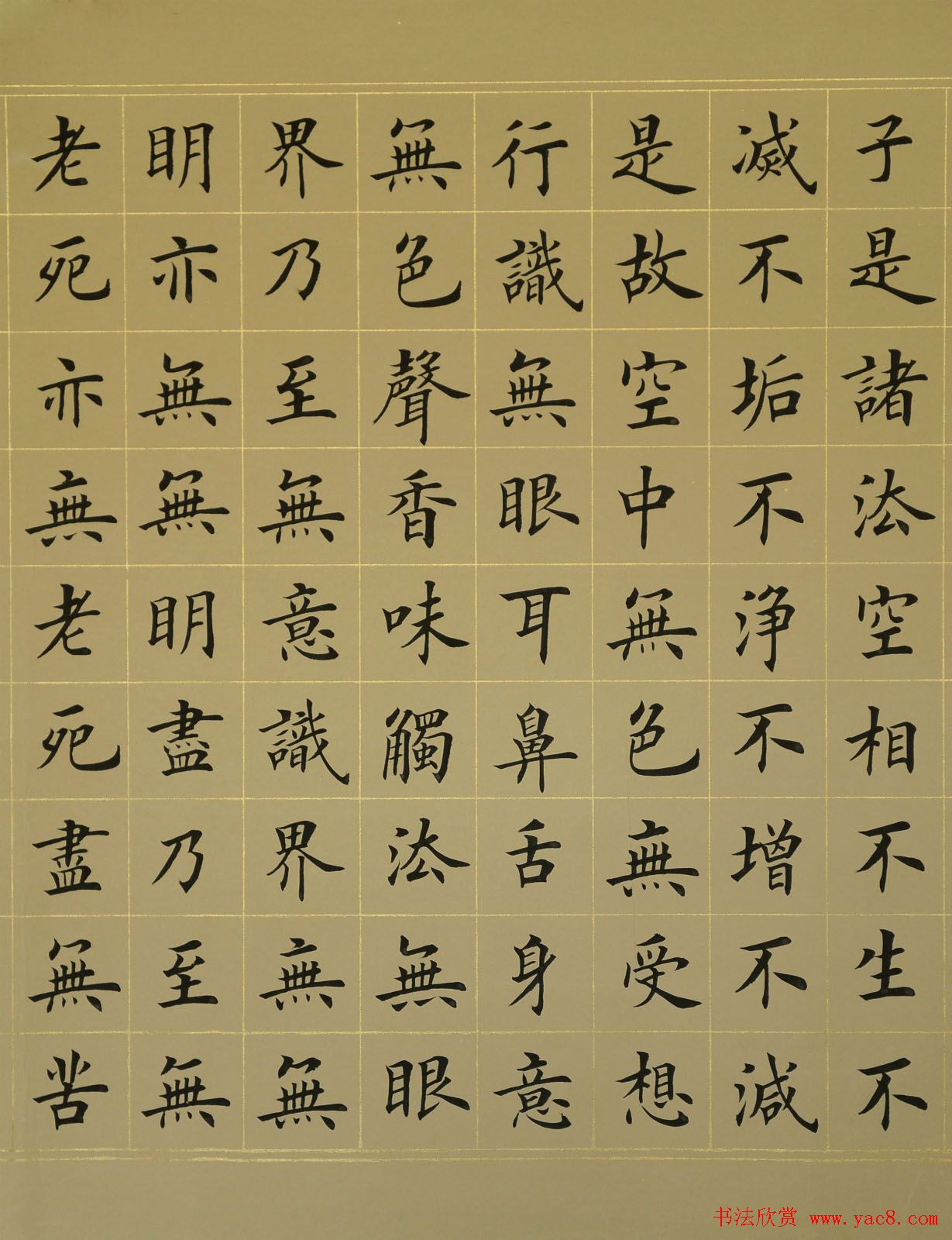 张延东书法手卷欣赏《楷书心经》