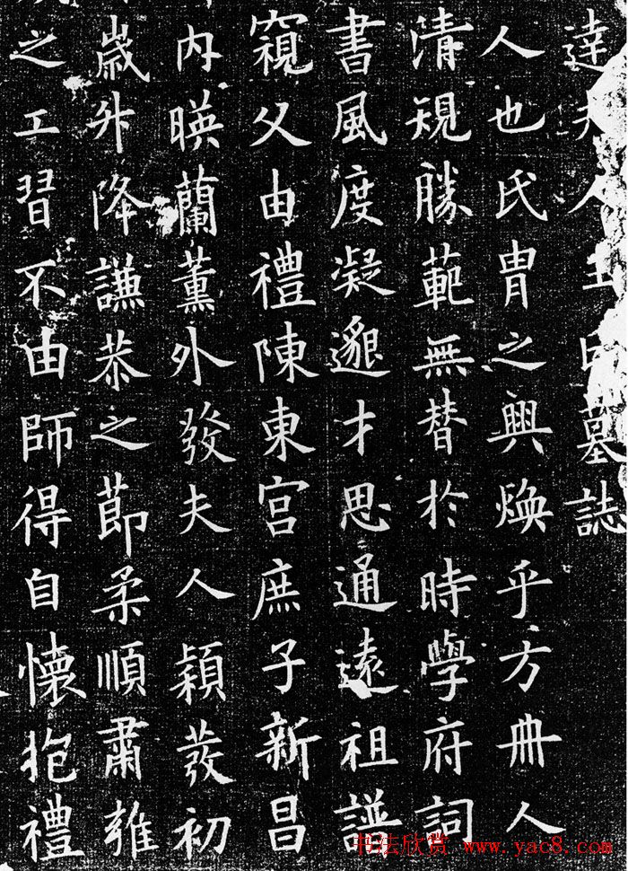 欧阳询率更体楷书欣赏《王女节墓志》全图