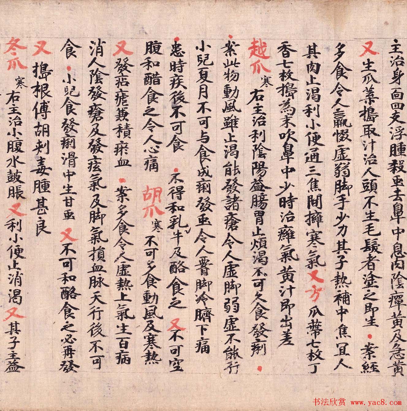 敦煌墨迹欣赏医药文献残卷