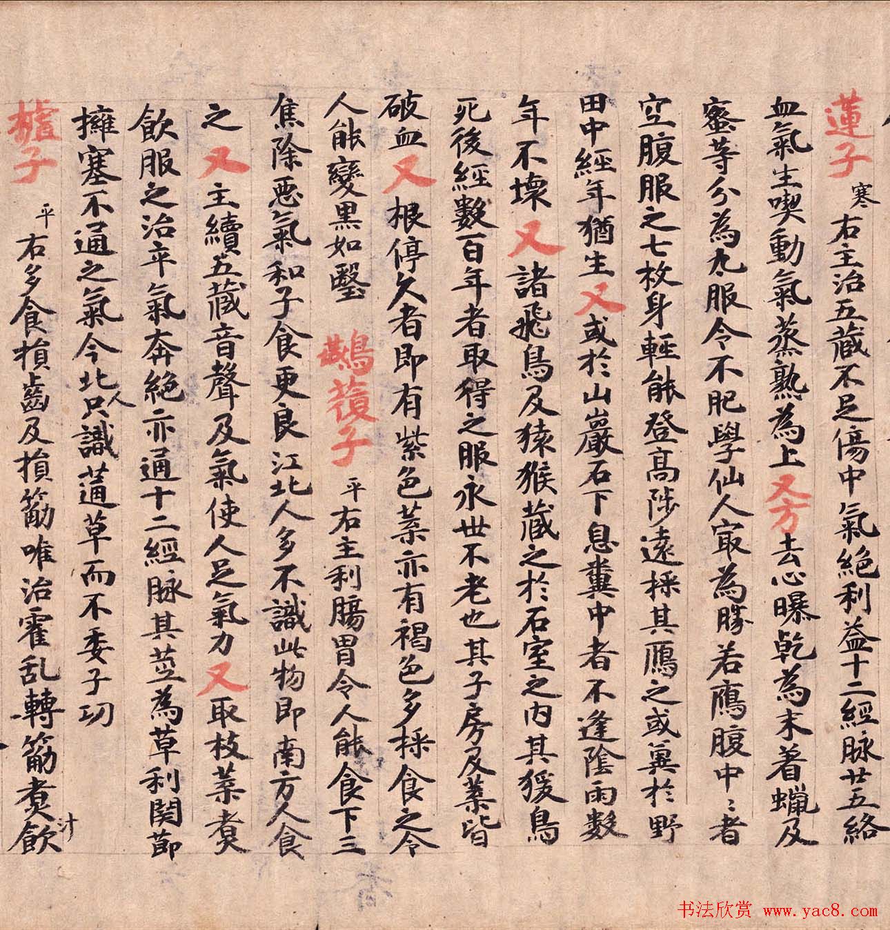 敦煌墨迹欣赏医药文献残卷