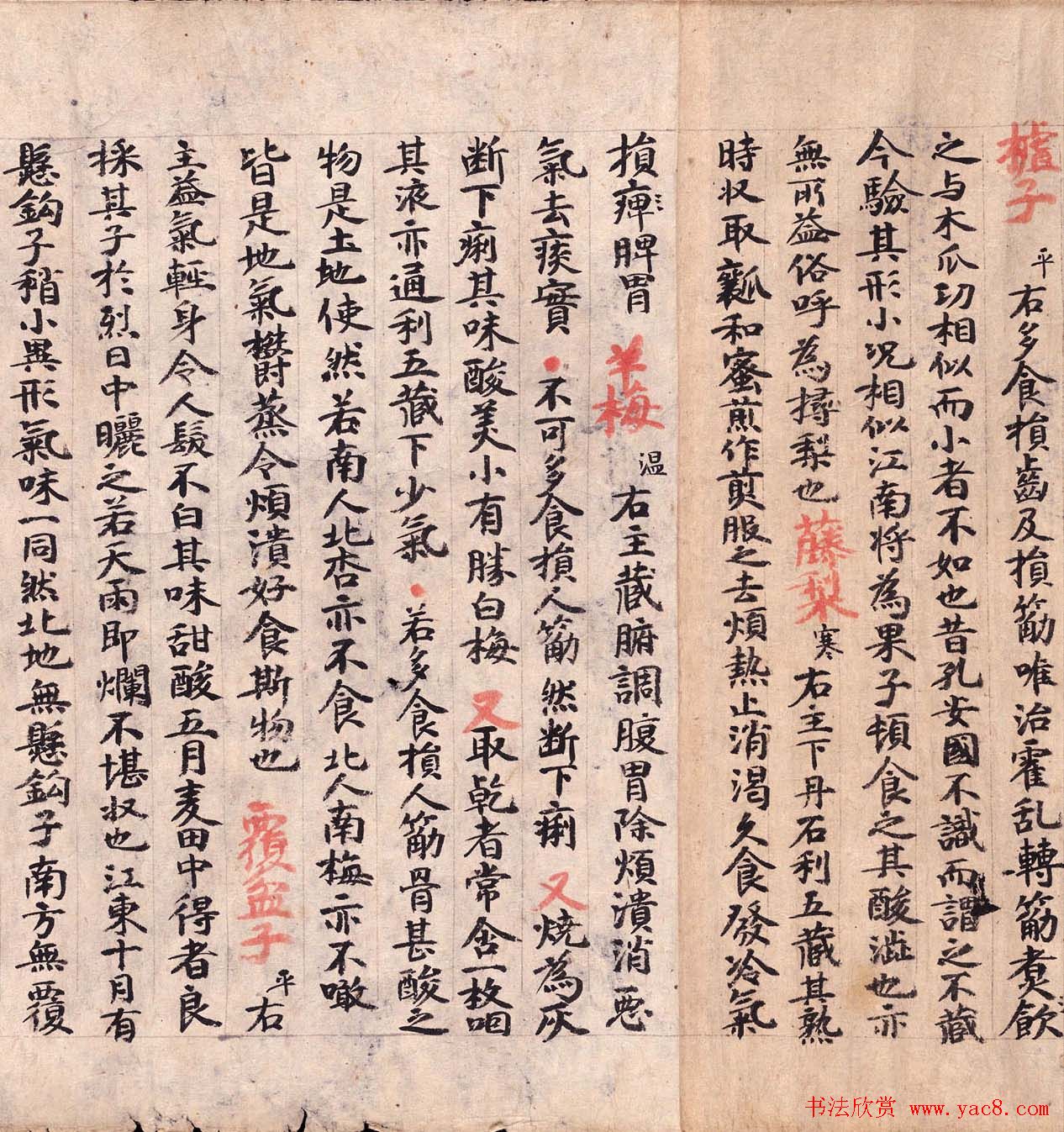 敦煌墨迹欣赏医药文献残卷