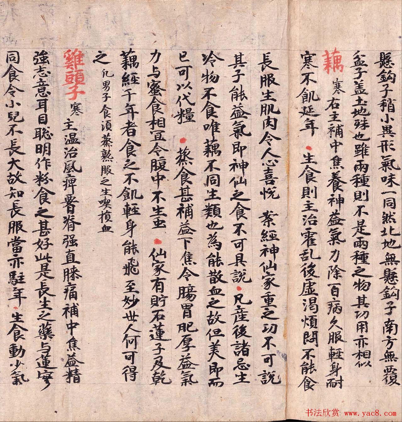 敦煌墨迹欣赏医药文献残卷