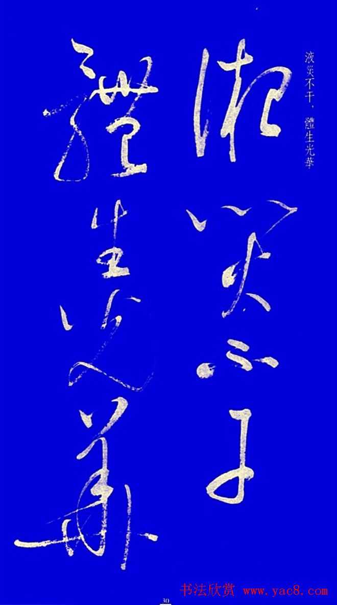 启功草书字帖欣赏《黄庭内景经》