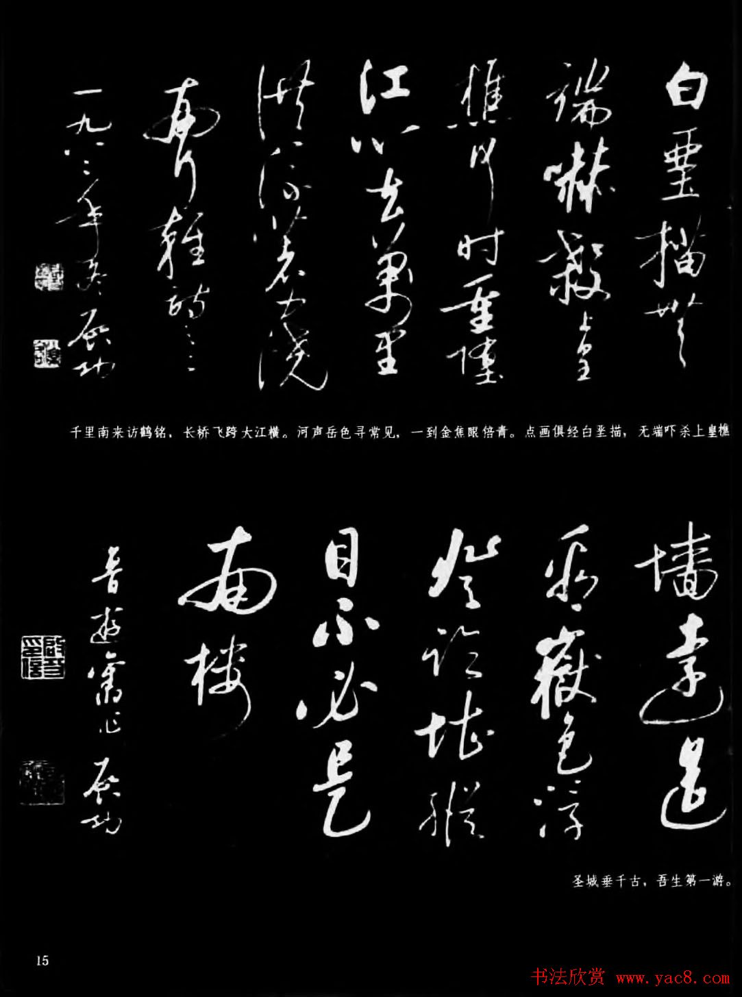 现代书法作品集《启功书法选》
