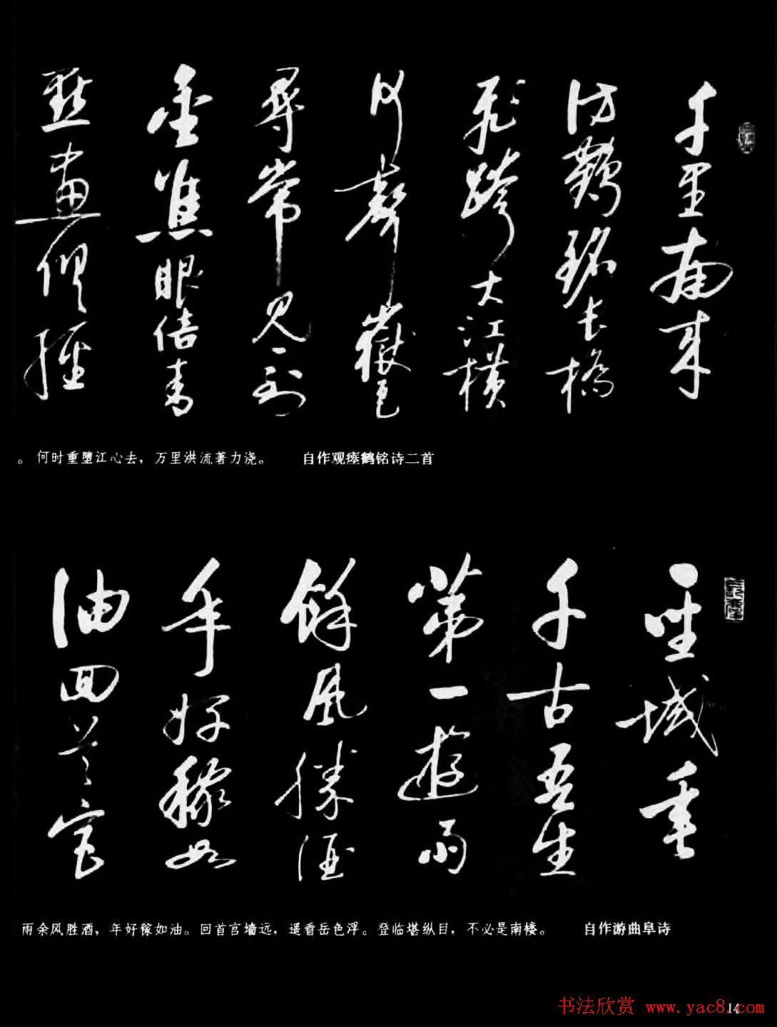 现代书法作品集《启功书法选》