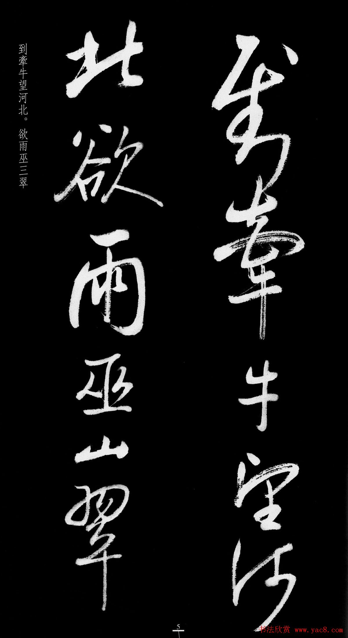 启功行书字帖临八大山人《荷上花歌帖》