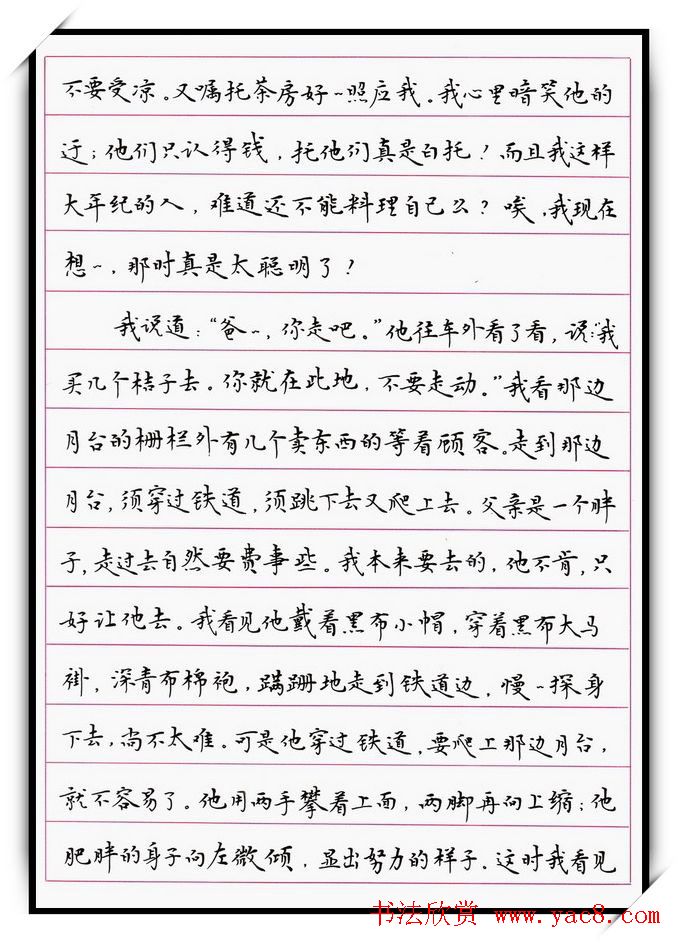 河北刘志明硬笔书法作品欣赏