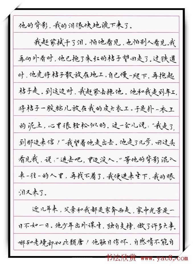 河北刘志明硬笔书法作品欣赏