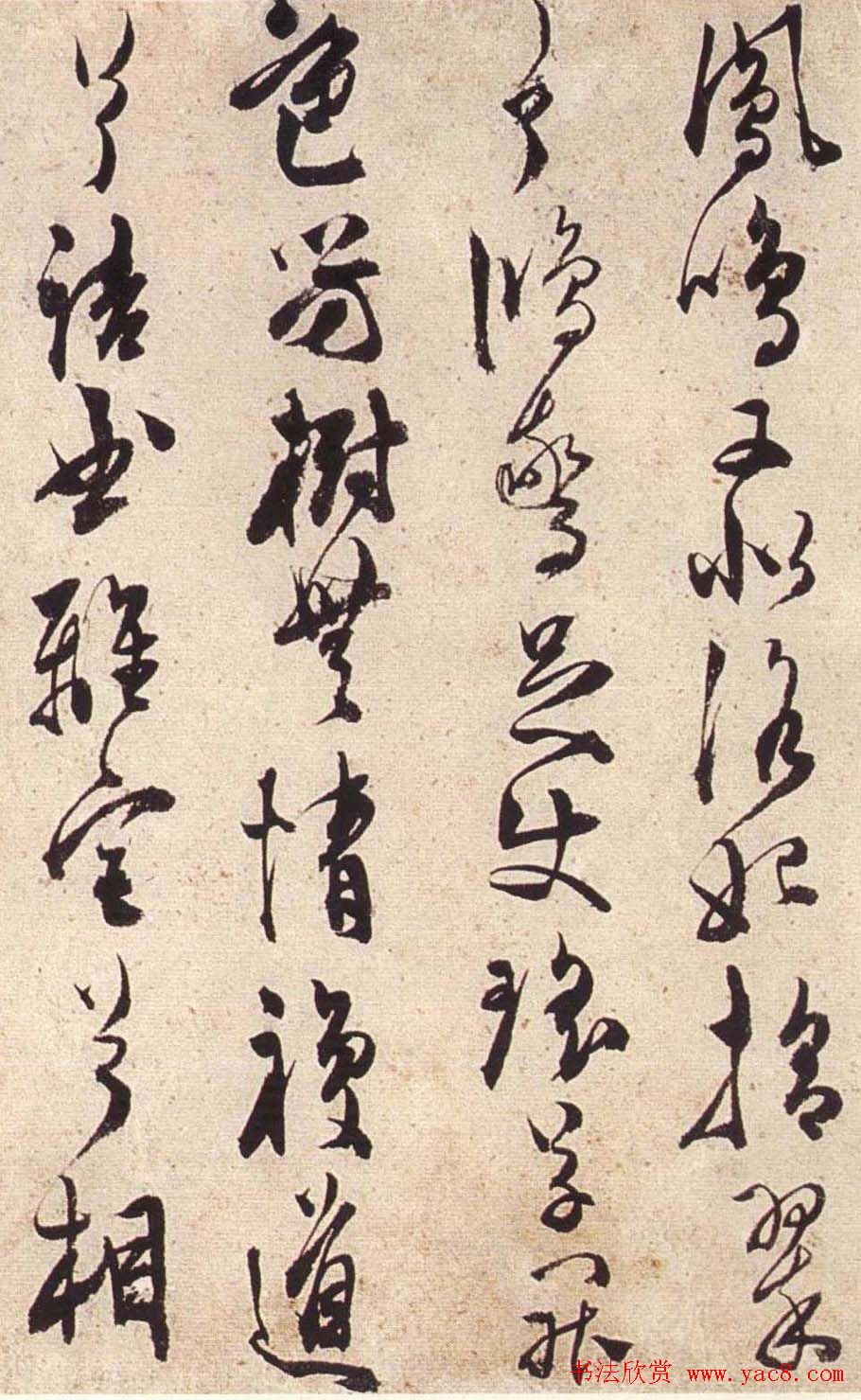 陈道复草书欣赏《宋之问秋莲赋》