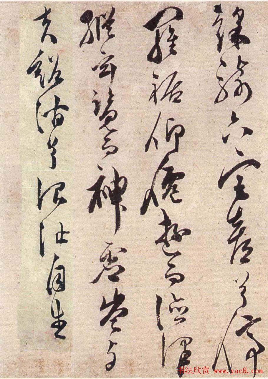 陈道复草书欣赏《宋之问秋莲赋》