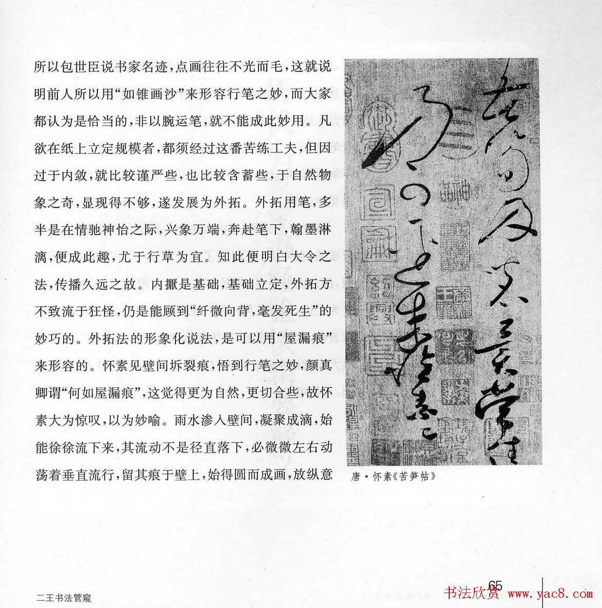 书法教程《学书有法-沈尹默讲书法》