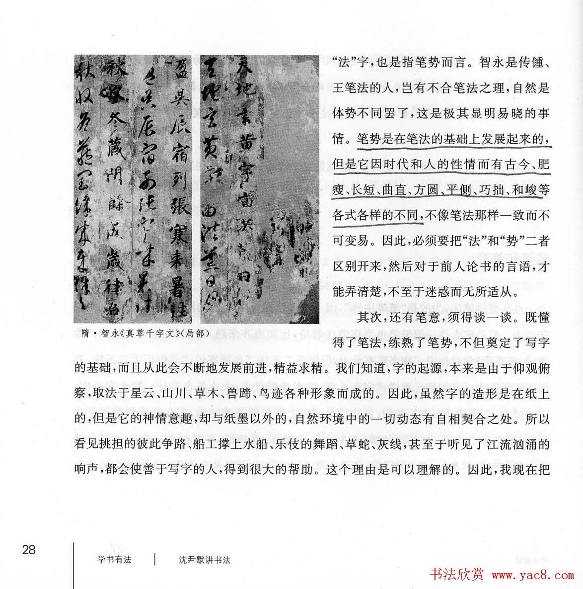 书法教程《学书有法-沈尹默讲书法》