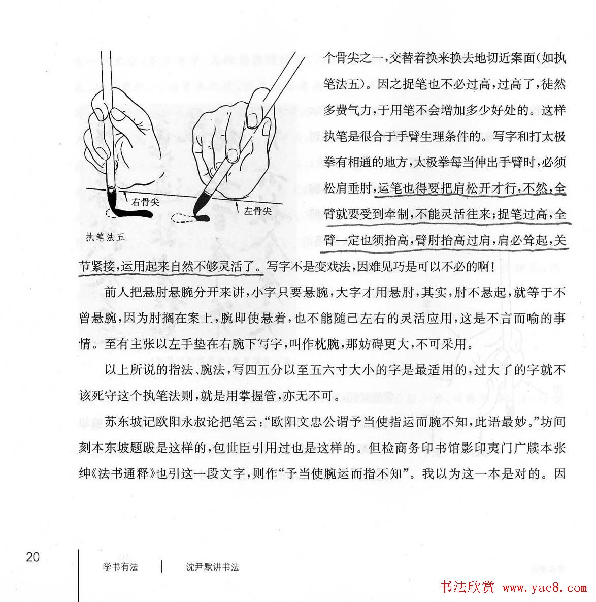 书法教程《学书有法-沈尹默讲书法》