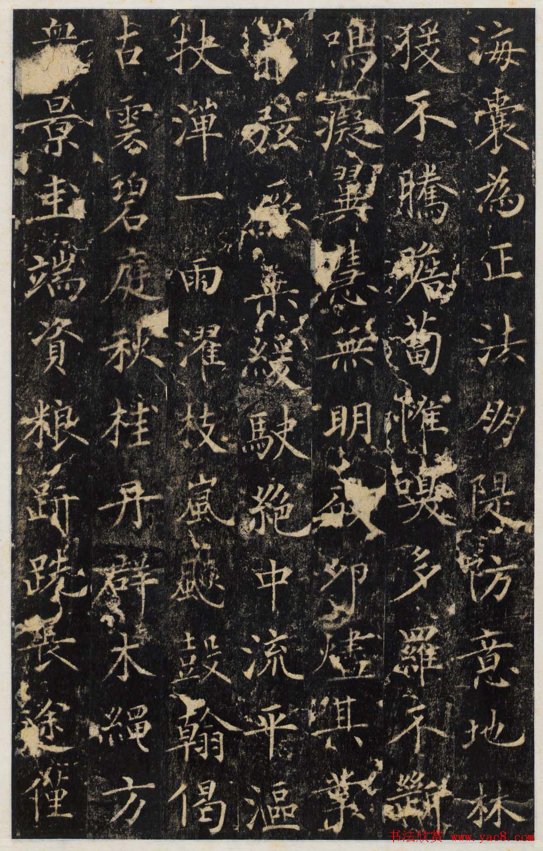 唐代无可楷书欣赏《安国寺寂照和尚碑》拓本