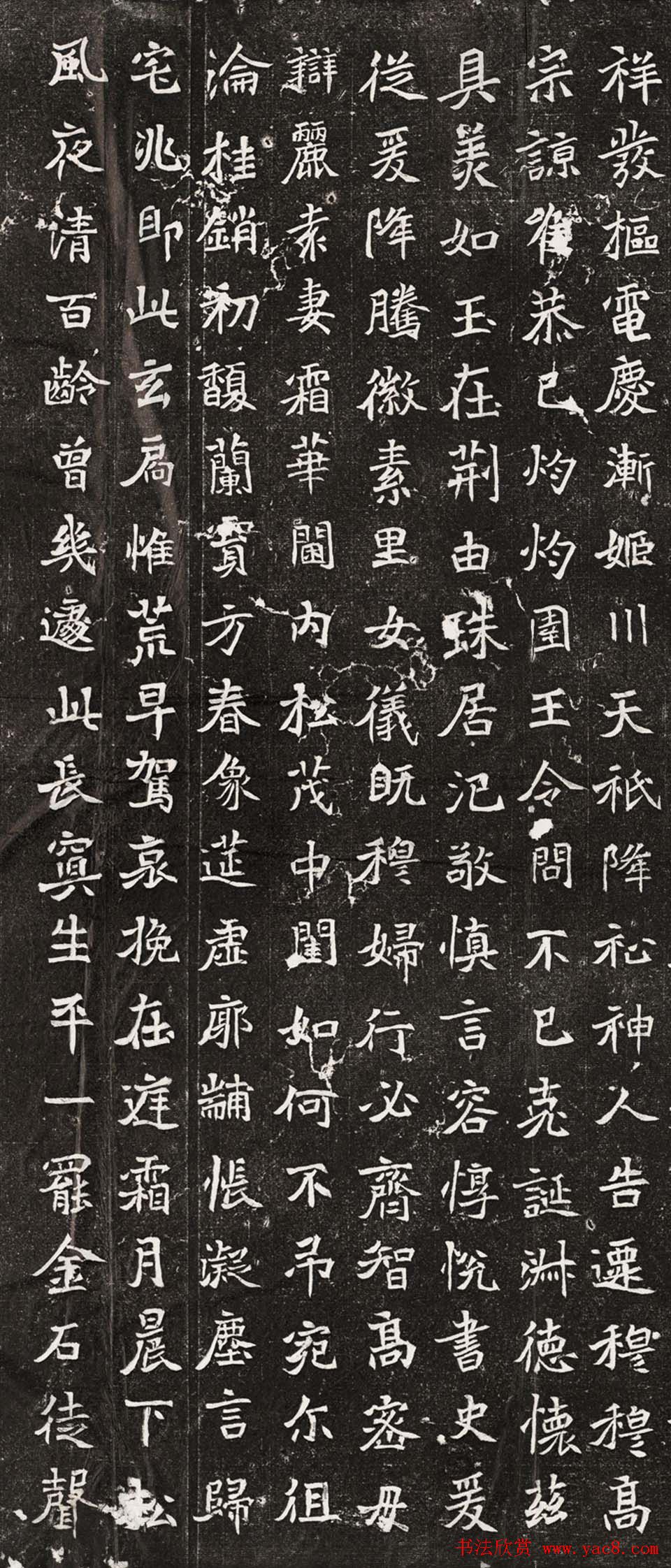 北魏碑刻书法《王诵妻元贵妃墓誌》高清拓本