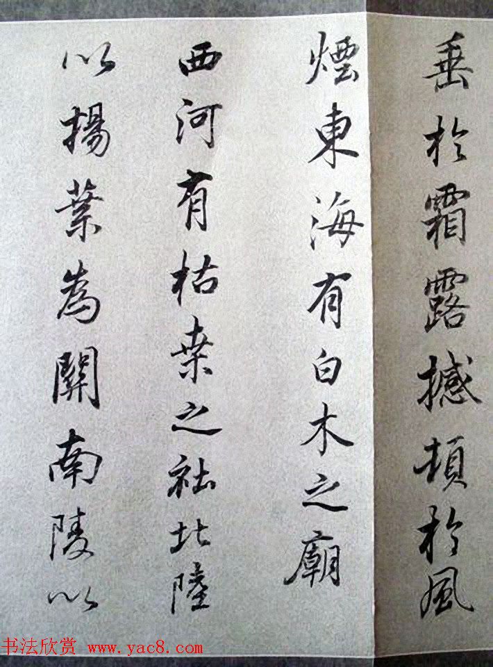 明末董其昌行书《临褚遂良枯树赋》两种