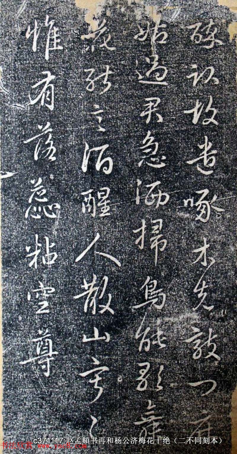 赵孟頫书帖《再和杨公济梅花十绝》