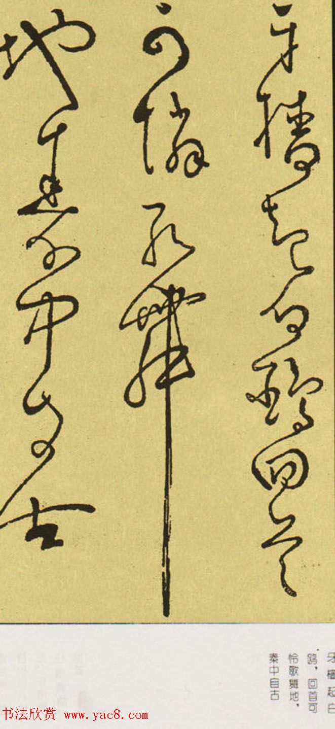 唐怀素草书欣赏《秋兴八首》两种