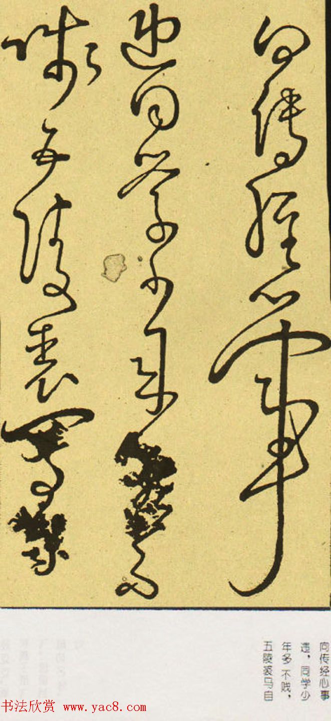 唐怀素草书欣赏《秋兴八首》两种