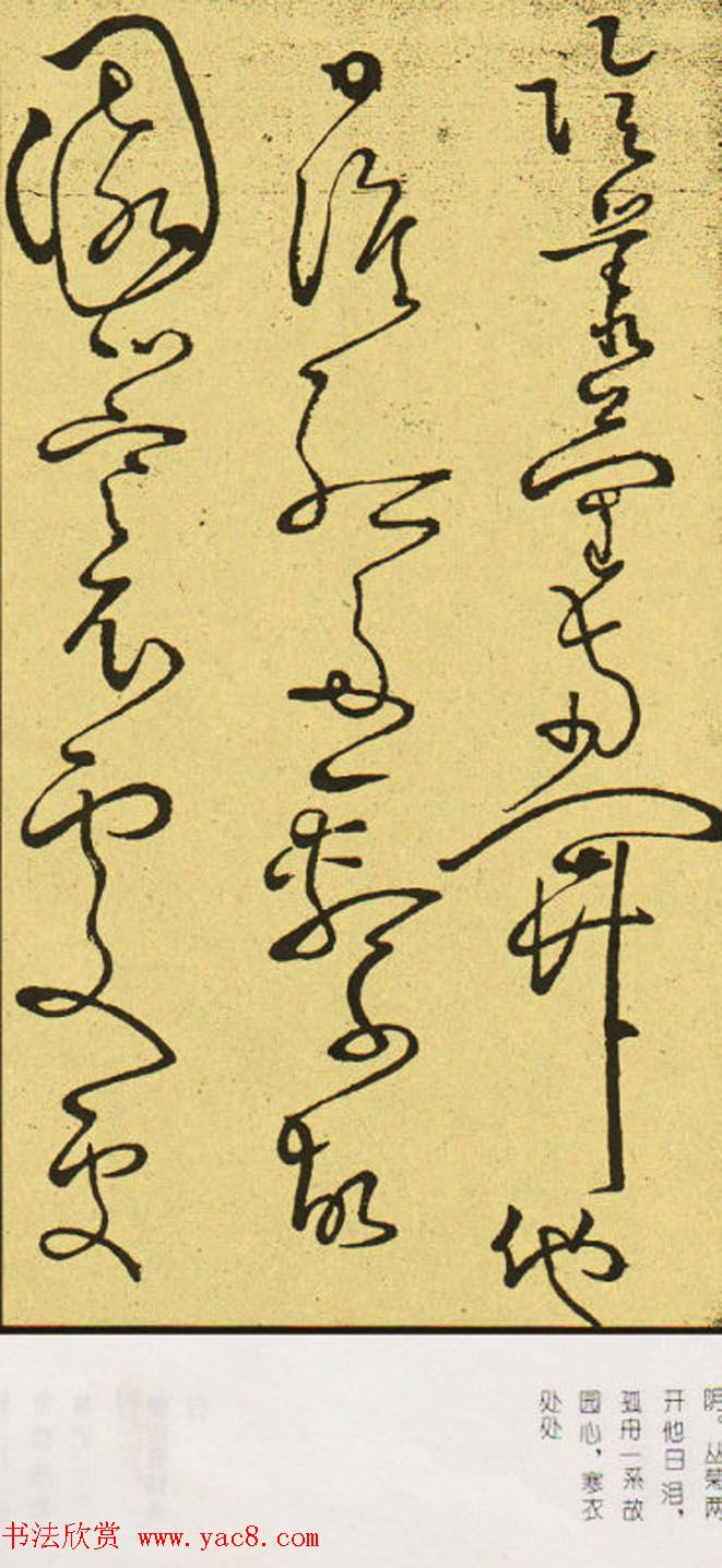 唐怀素草书欣赏《秋兴八首》两种