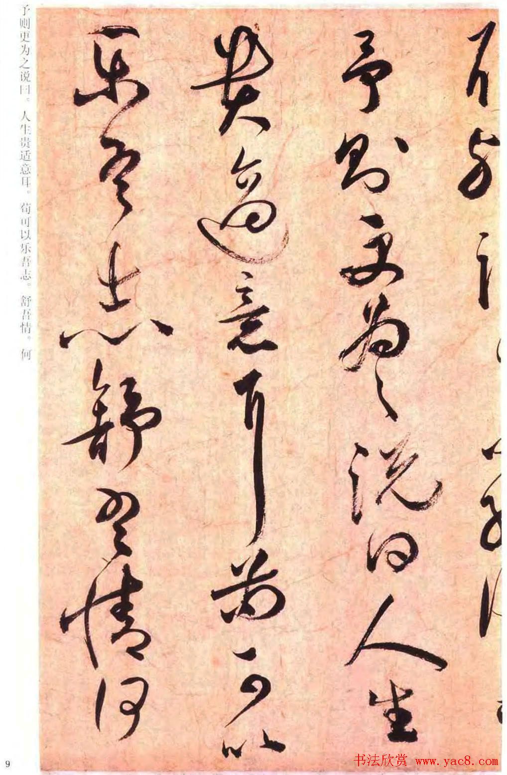 祝允明草书书法赏析《云江记》