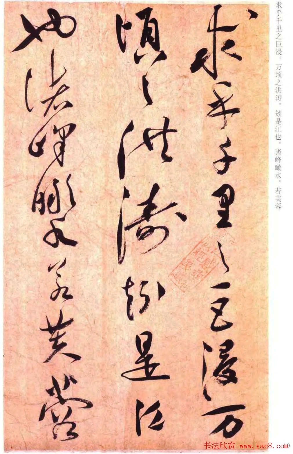 祝允明草书书法赏析《云江记》