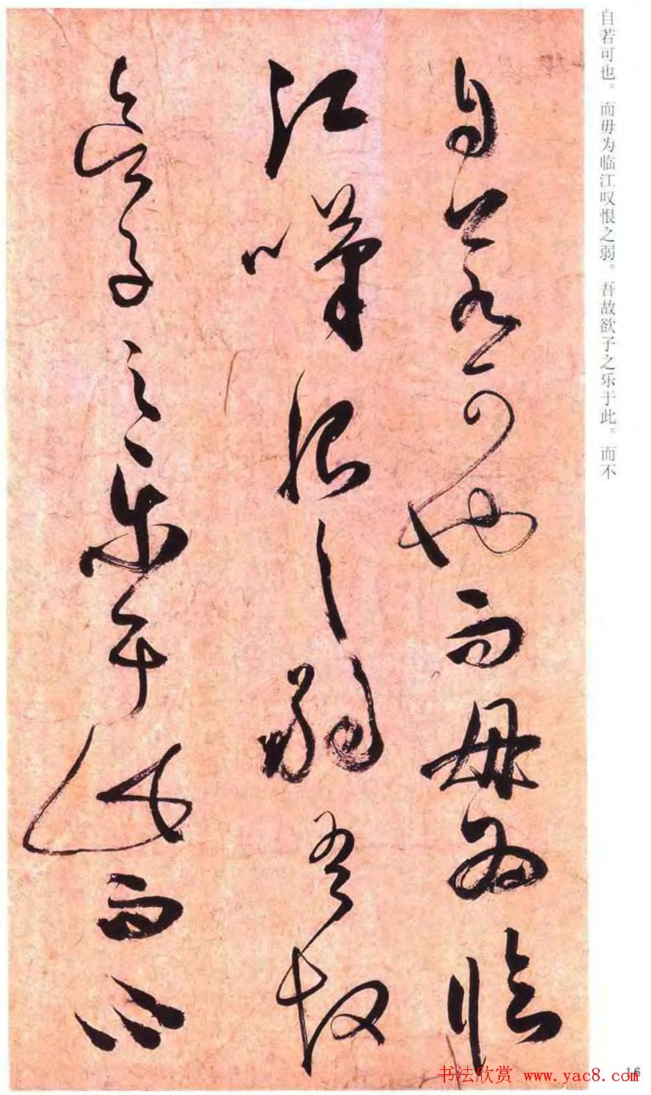 祝允明草书书法赏析《云江记》