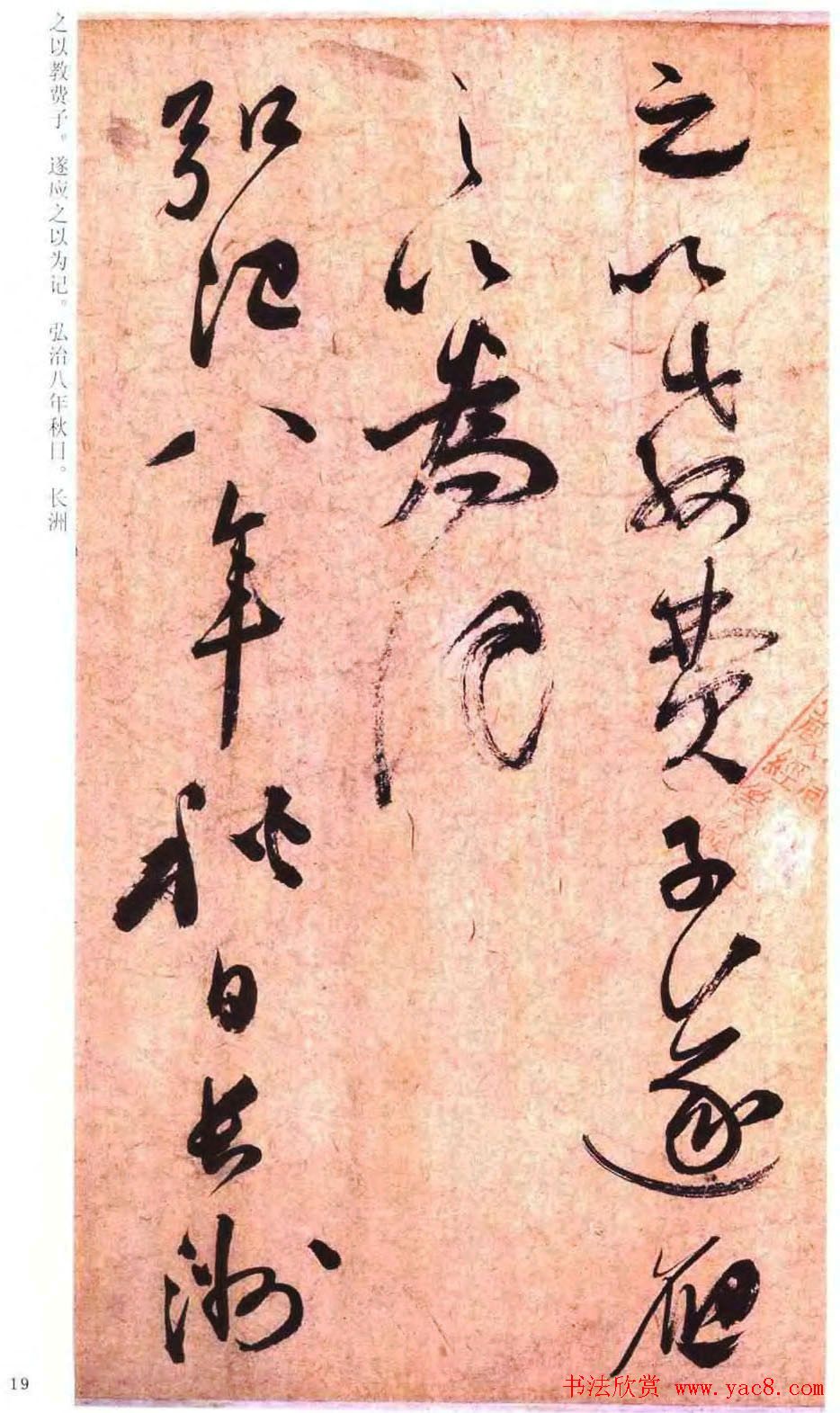 祝允明草书书法赏析《云江记》