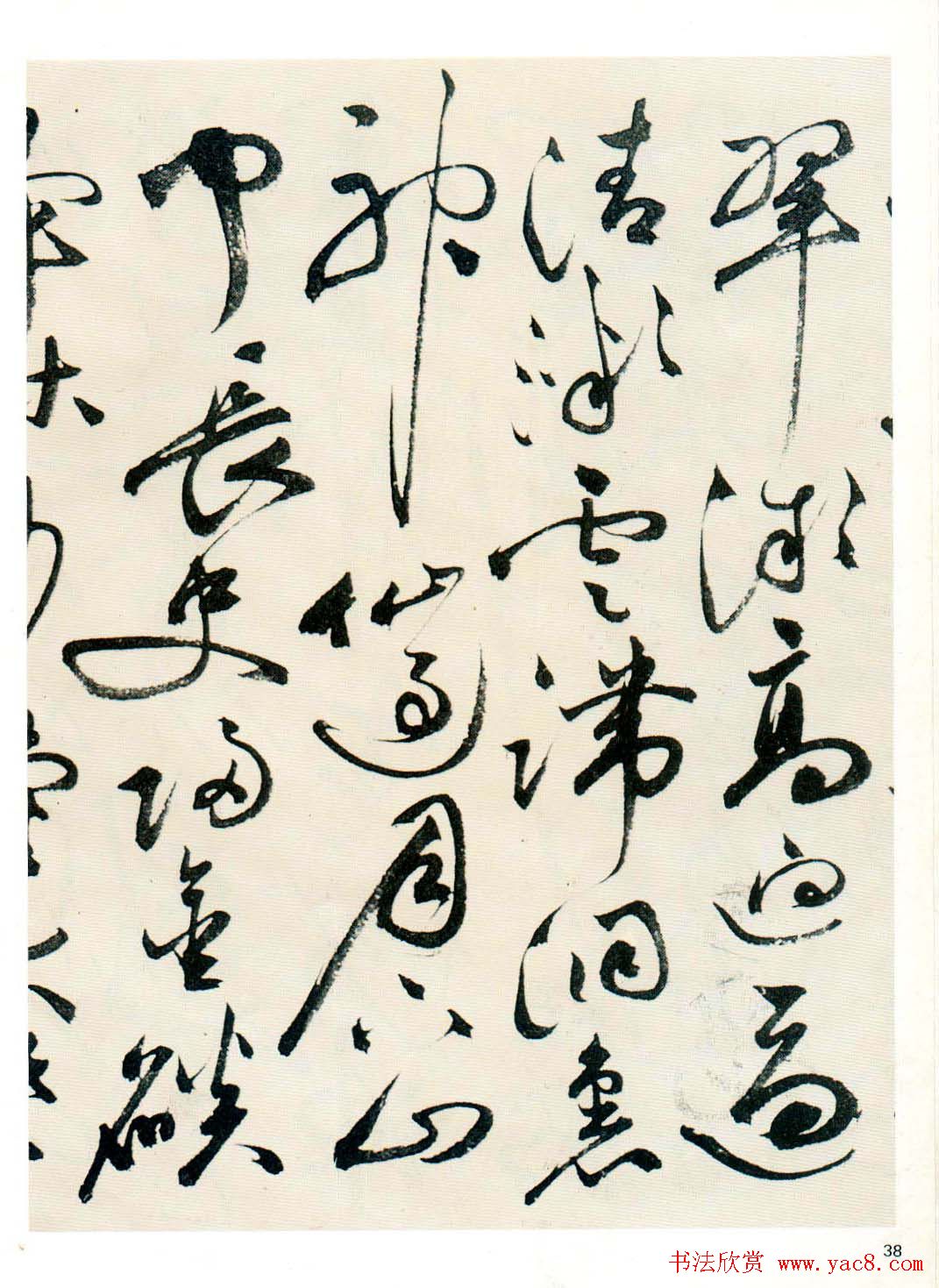 祝允明草书墨迹欣赏《自书诗卷》