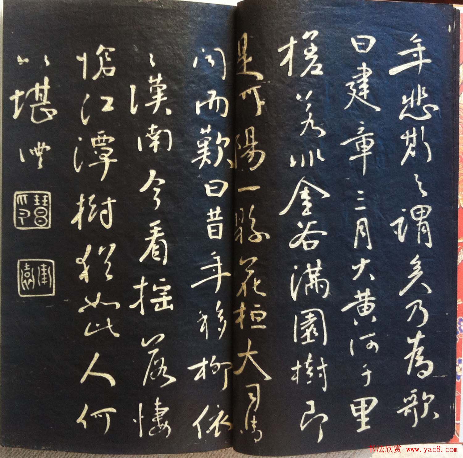 兰新家传书法碑帖分享《钱南园枯树赋》